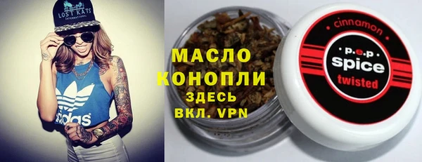 ECSTASY Богородск
