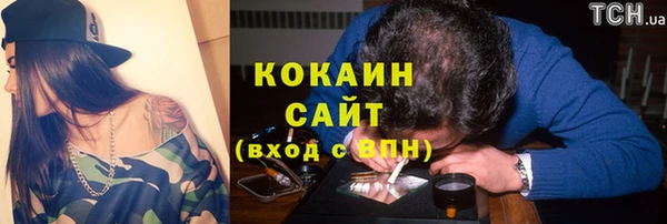 тгк Богородицк
