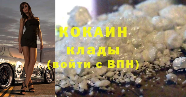 тгк Богородицк