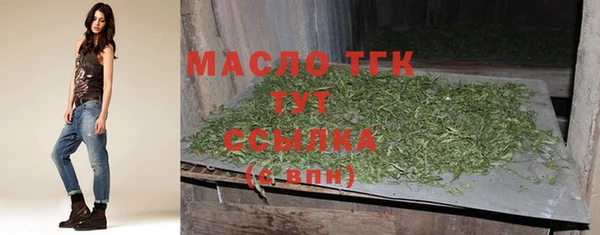 тгк Богородицк